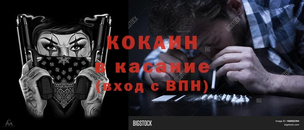 ешки Алексин