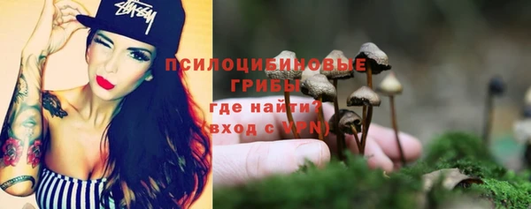 дурь Алексеевка