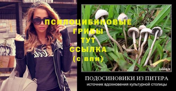 дурь Алексеевка