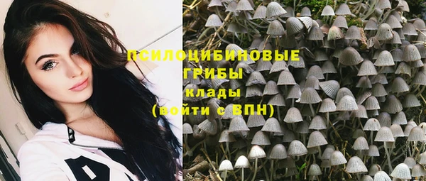 дурь Алексеевка
