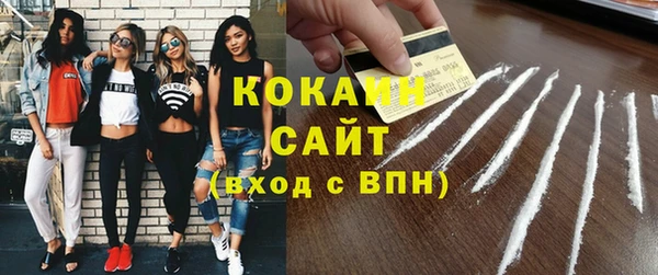 ешки Алексин
