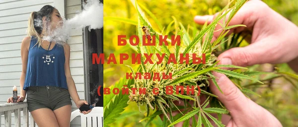 дурь Алексеевка