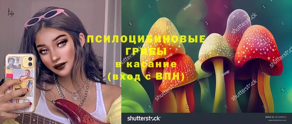 дурь Алексеевка