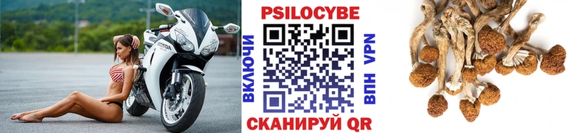Галлюциногенные грибы мухоморы  сколько стоит  Сочи 